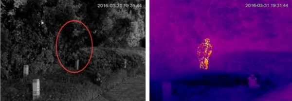 熱成像雙光譜云臺(tái)攝像安全防范應(yīng)用 圖片關(guān)鍵詞